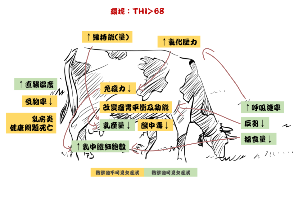 應用冷水紓解乳牛熱緊迫之研究